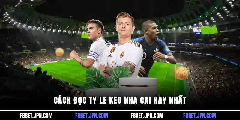 Cách đọc ty le keo nha cai hay nhất