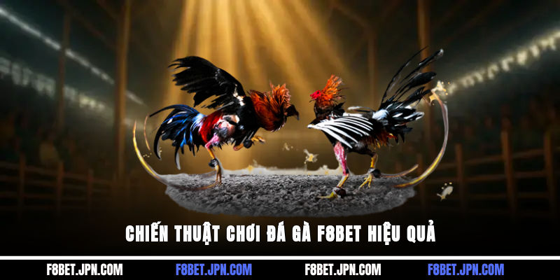 Chiến thuật chơi đá gà F8BET hiệu quả