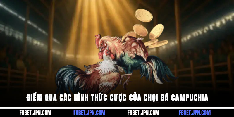 Điểm qua các hình thức cược của chọi gà Campuchia