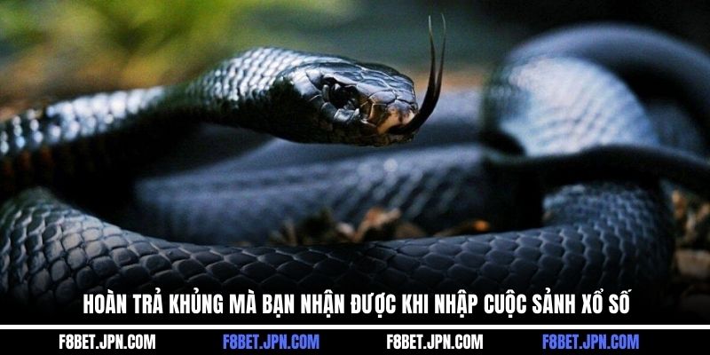 Hoàn trả khủng mà bạn nhận được khi nhập cuộc sảnh xổ số
