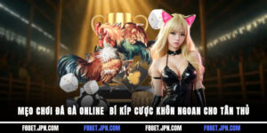 Mẹo Chơi Đá Gà Online - Bí Kíp Cược Khôn Ngoan Cho Tân Thủ