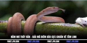 Nằm Mơ Thấy Rắn - Giải Mã Điềm Báo Cực Chuẩn Về Tâm Linh