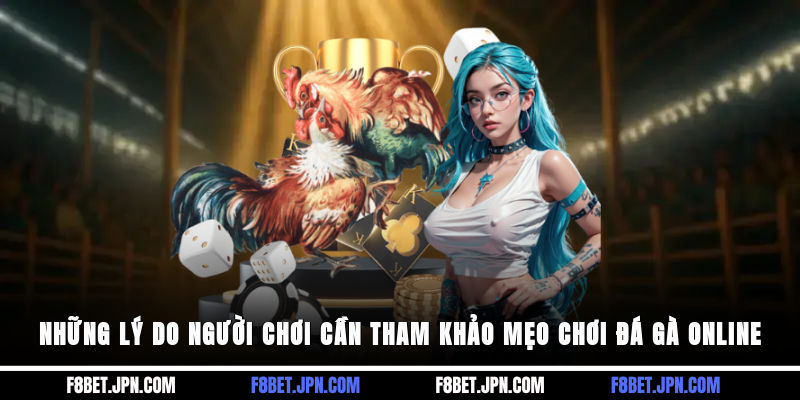 Những lý do người chơi cần tham khảo mẹo chơi đá gà online