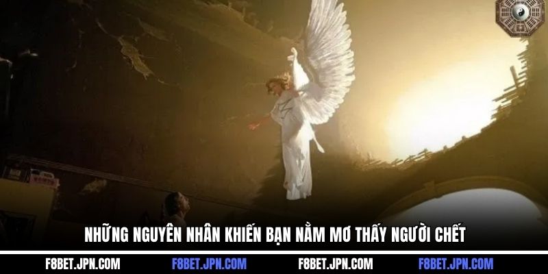 Những nguyên nhân khiến bạn nằm mơ thấy người chết
