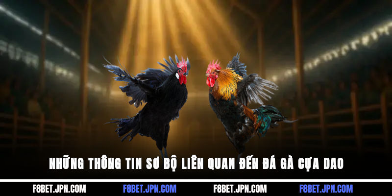 Những thông tin sơ bộ liên quan đến đá gà cựa dao