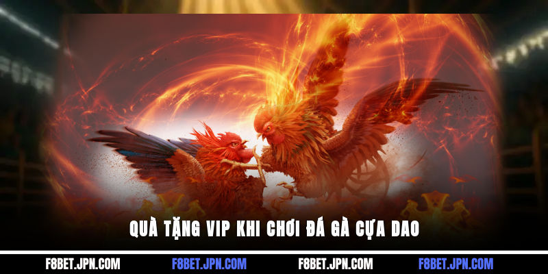 Quà tặng VIP khi chơi đá gà cựa dao
