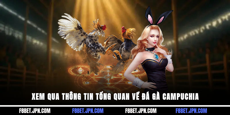 Xem qua thông tin tổng quan về đá gà Campuchia